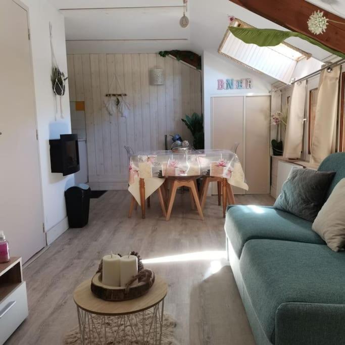 Appartement Le Cosy Fleuri *