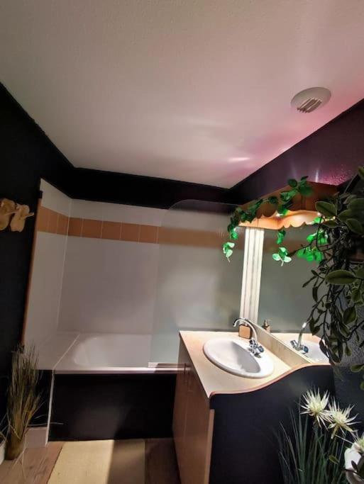 Le Cosy Fleuri